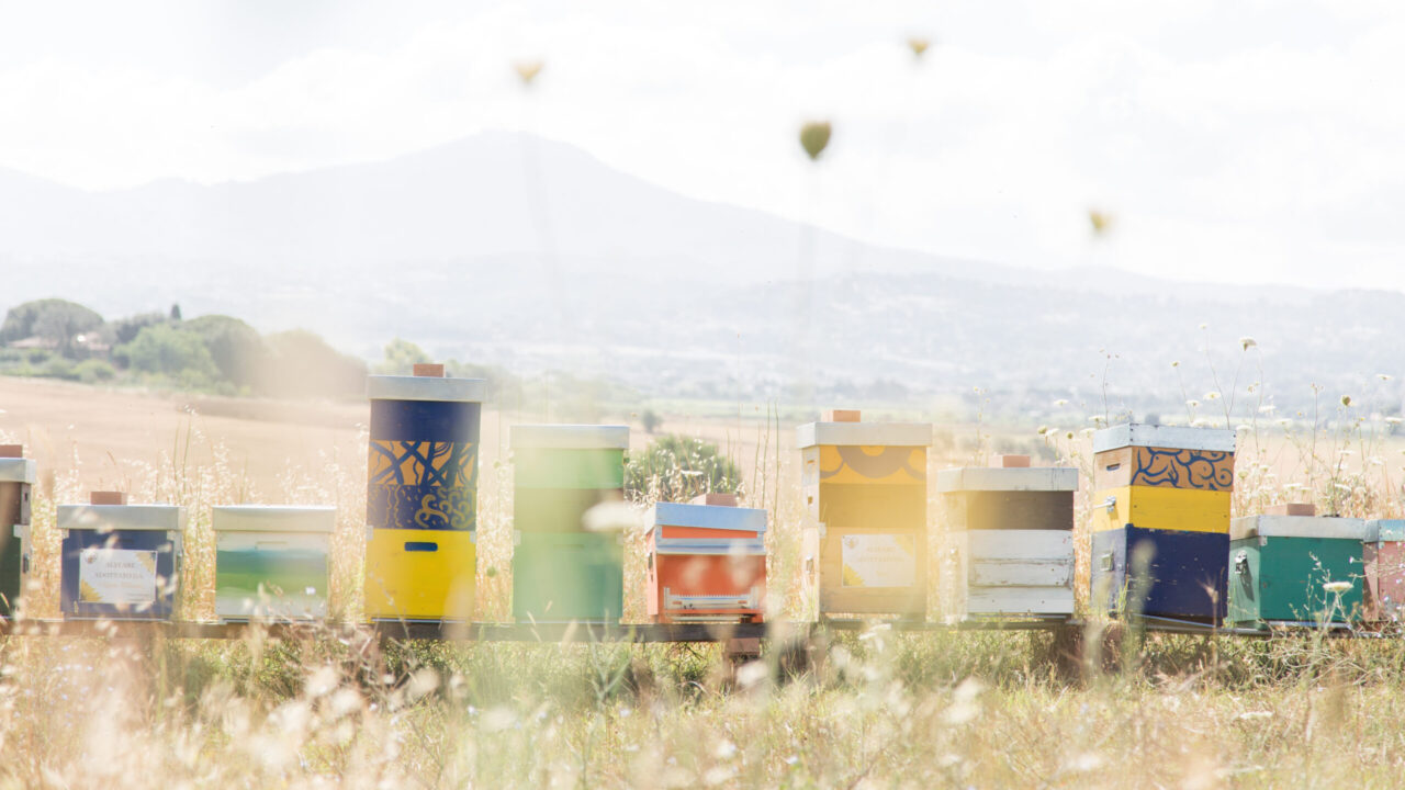 i nostri apiari i nostri apiari